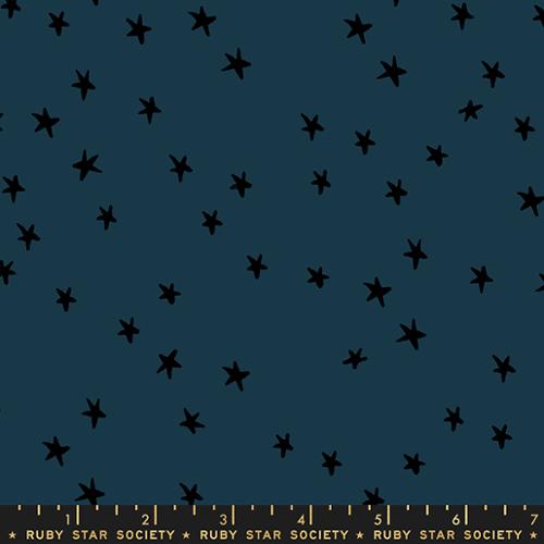 108" Wide Back Starry Smoke RS4111 45 by Alexia Abegg for Moda